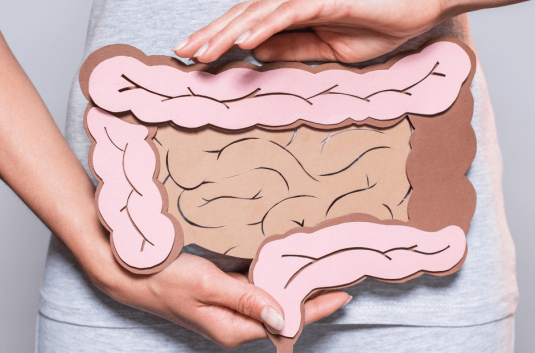Colon_SMA (1)